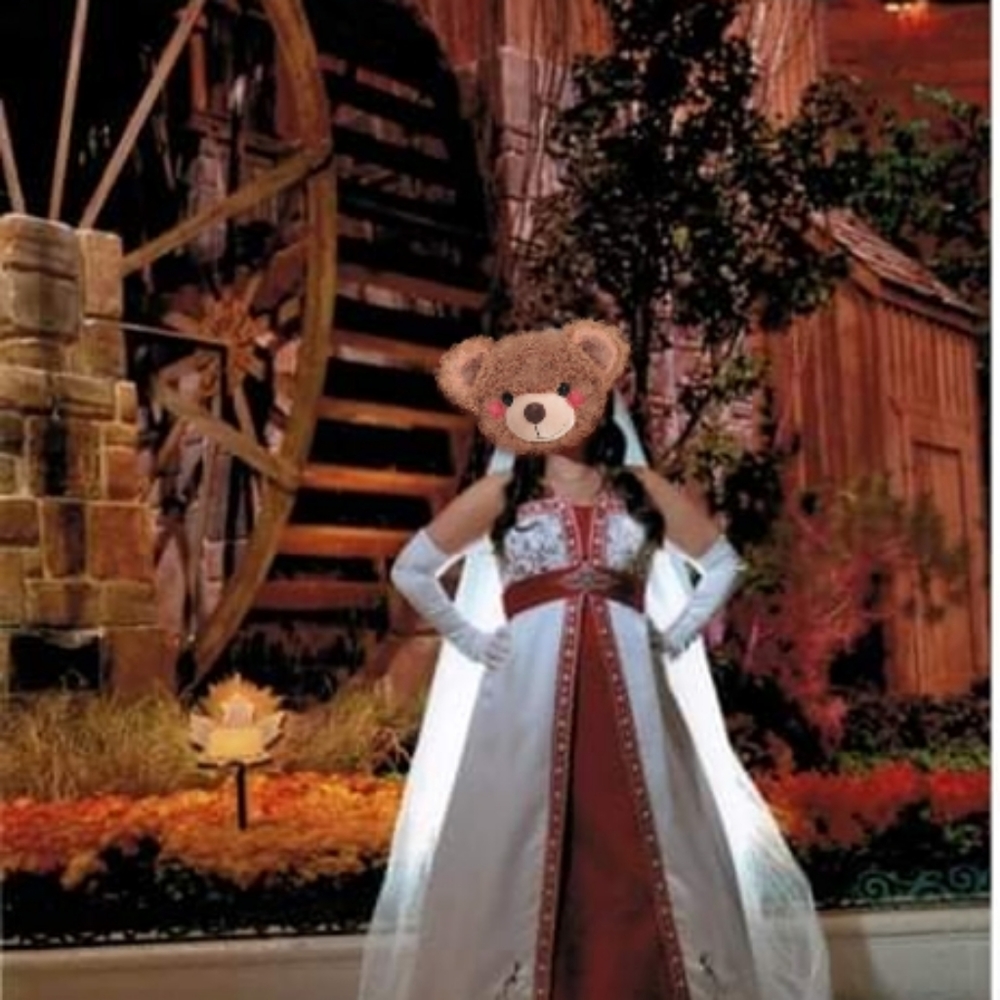 Wedding dress, white and red